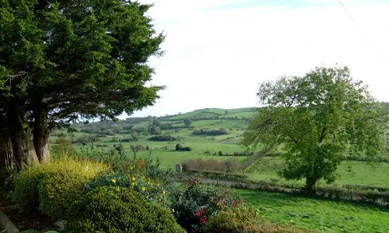 Exploring Northern Ireland’s Flourishing Foodie Culture