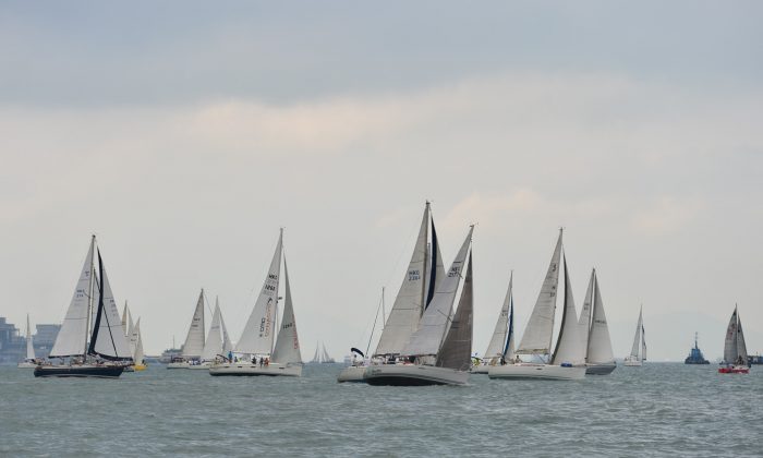 Boats at the 8:30am start in the Marriott Rewards Round the Island Race 2015 on Sunday Nov 15, 2015. (Bill Cox/Epoch Times)