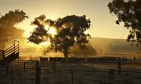 Australia Bars Foreigners From Buying World’s Largest Ranch