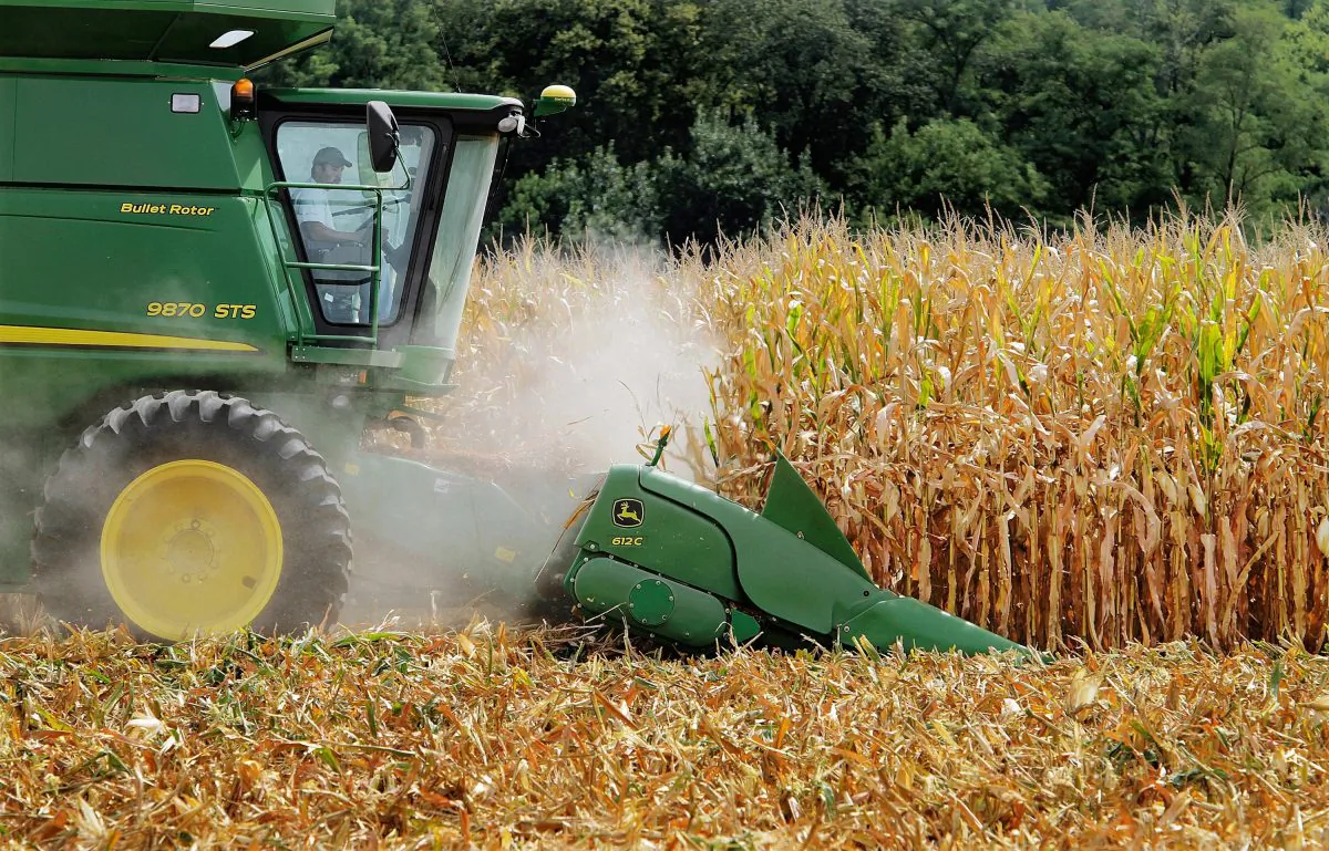 Farmer Jason Podany uses combine to harvest corn near Farmingdale, Ill., on Aug. 30, 2011. The sugar and corn industries ended their billion-dollar bitter battle over sweeteners Friday, Nov. 20, 2015, in a secret out-of-court settlement. Both sides announced the deal that puts an end to a trial that began nearly three weeks ago in Los Angeles federal court pitting sugar against high fructose corn syrup. (AP Photo/Seth Perlman)