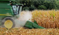 Sugar, Corn Industries Settle Sweetener Spat; Terms Secret