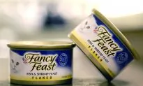 Nestle Confirms Labor Abuse Among Its Thai Seafood Suppliers