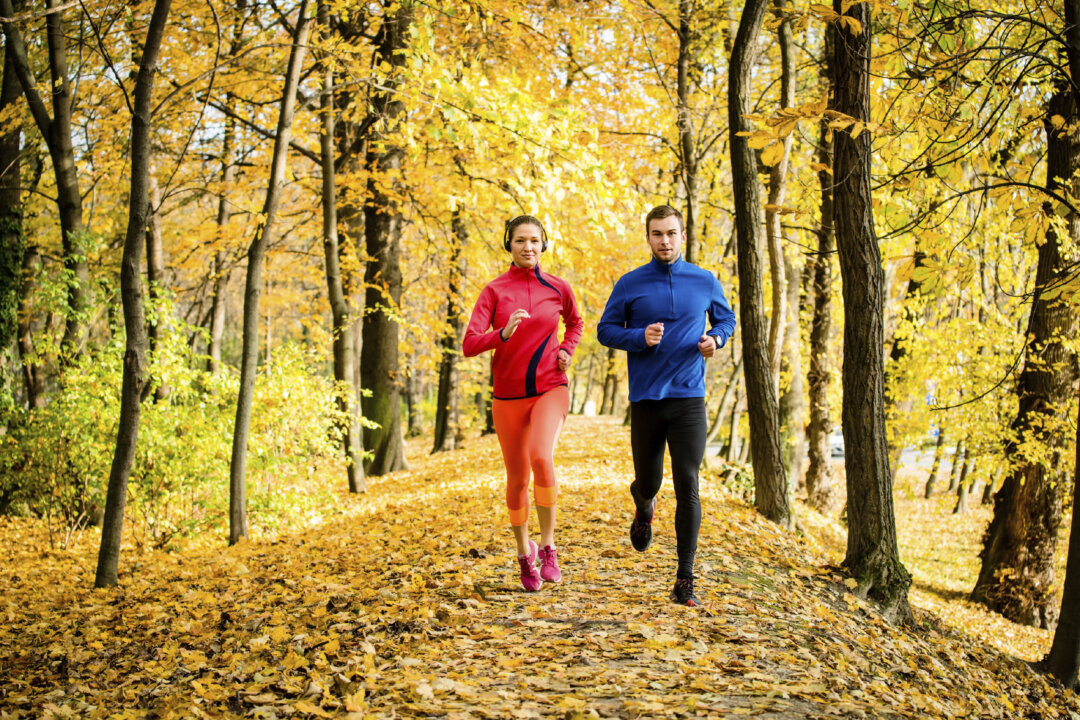 The Body Is the Best Doctor: How to Harness Your Natural Ability to Heal Yourself