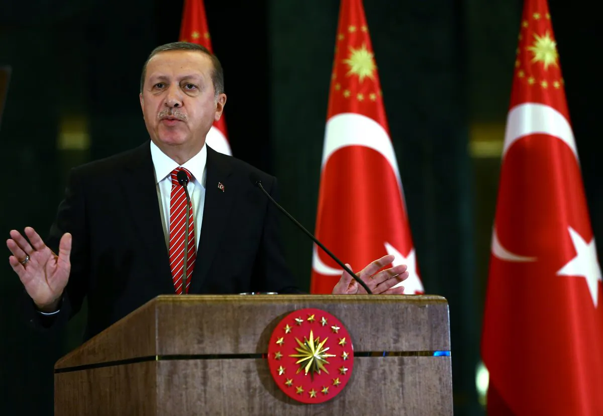 Turkish President Recep Tayyip Erdogan speaks during a meeting at the presidential palace in Ankara, Turkey, on Nov. 24, 2015. (AP Photo/Kayhan Ozer, Presidential Press Service)