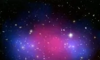 Tons of Dark Matter Hide in Nearby Dwarf Galaxy