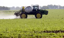 EPA Moves to Withdraw Approval of Controversial Weed Killer
