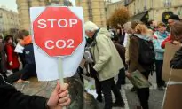 Fauxtastrophes: The Ecology of Settled-Scientists
