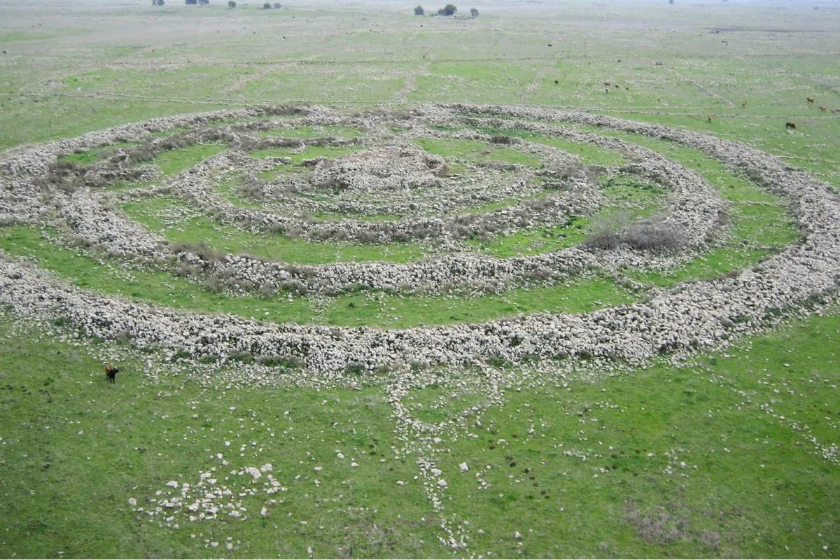Livestock grazing nearby reveals scale of the enormous stone rings of Rujm el-Hiri megalith on the plains of the Golan Heights. (אסף.צ/CC BY-SA)