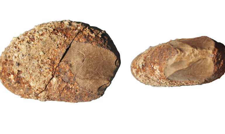 A pebble tool with a bifacially knapped and retouched edge. The stone, called serpentine, is not a local material but likely comes from the coastal cordillera west of Monte Verde. It was found at the older site, MVI, and was made 17,000-19,000 years ago. (Credit: courtesy of Dr. Dillehay/Vanderbilt)