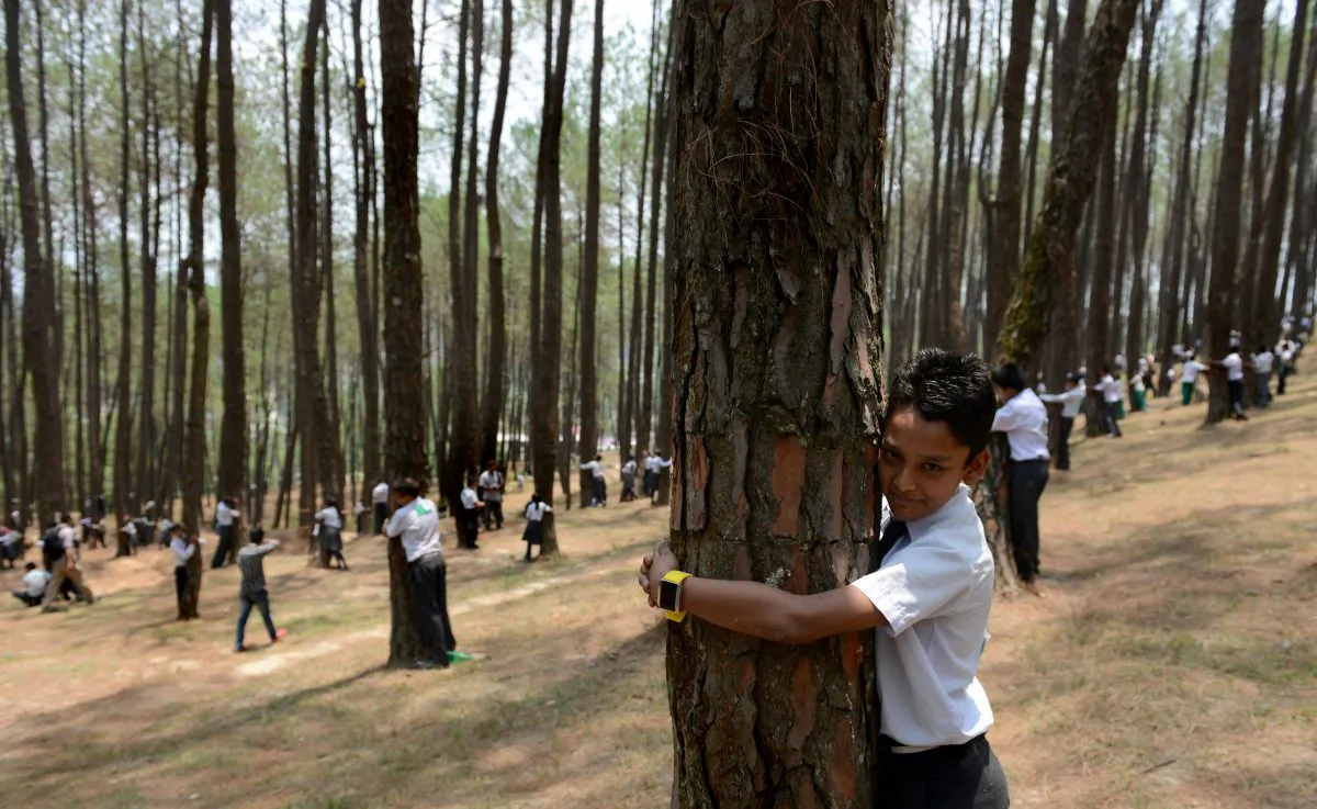 Nepal’s well-managed forests are a model for local climate action. Nepalese school children hug trees to celebrate World Environment Day in Gokarna Forest, outside Kathmandu, Nepal, on June 5, 2014. (Prakash Mathema/AFP/Getty Images)