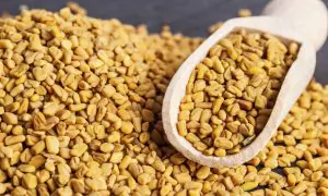 Fenugreek for Cholesterol, Diabetes, Menstrual Problems, and More