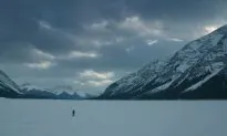Film Review: ‘The Revenant’