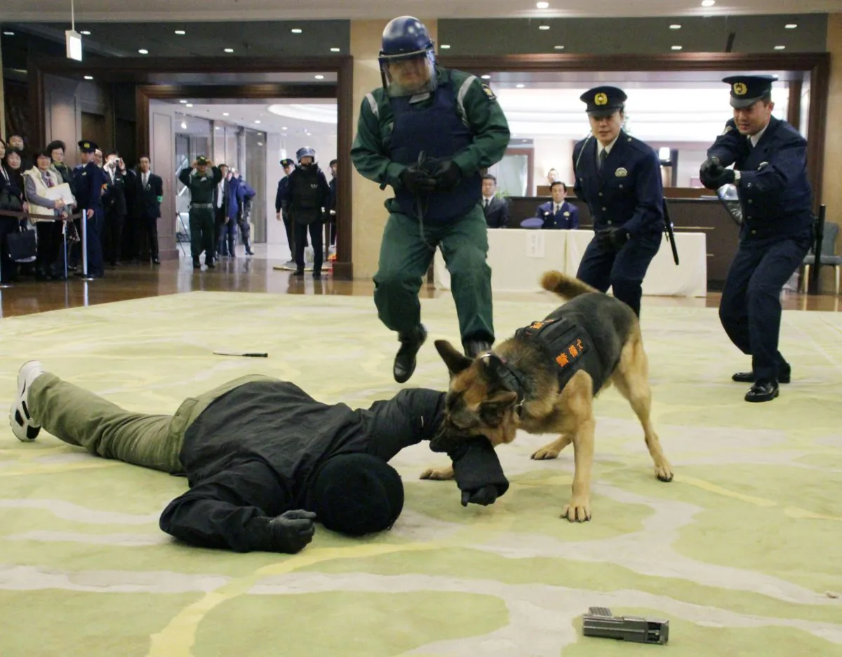 Police officers take position as a police dog bites an arm of an armed "terrorist" during an anti-terror drill at a hotel in Tokyo on Nov. 24, 2015. (Taisuke Yamazaki/Kyodo News via AP)
