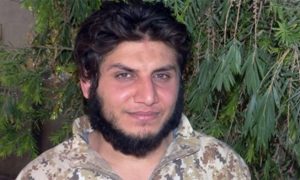 Profiles of Islamic Radicals Reveal Different Paths to Extremism