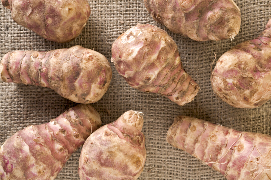 Jerusalem artichoke is a food rich in a special fiber called inulin. (MarkFGD/iStock)