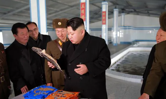 CHINA SECURITY: China Reaps What It Sows, as Paranoid North Korea Lashes Out
