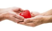 Research May Shorten Organ Transplant Wait Lists in as Little as 5 Years