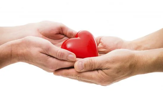 Research May Shorten Organ Transplant Wait Lists in as Little as 5 Years