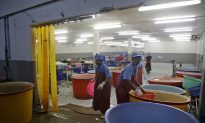Leading Thai Seafood Boss: Shrimp Investigation a ‘Wake-Up Call’