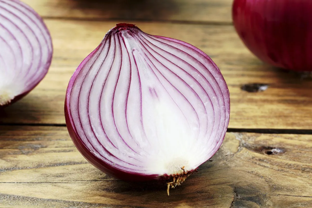 (DENIO RIGACCI/iStock)