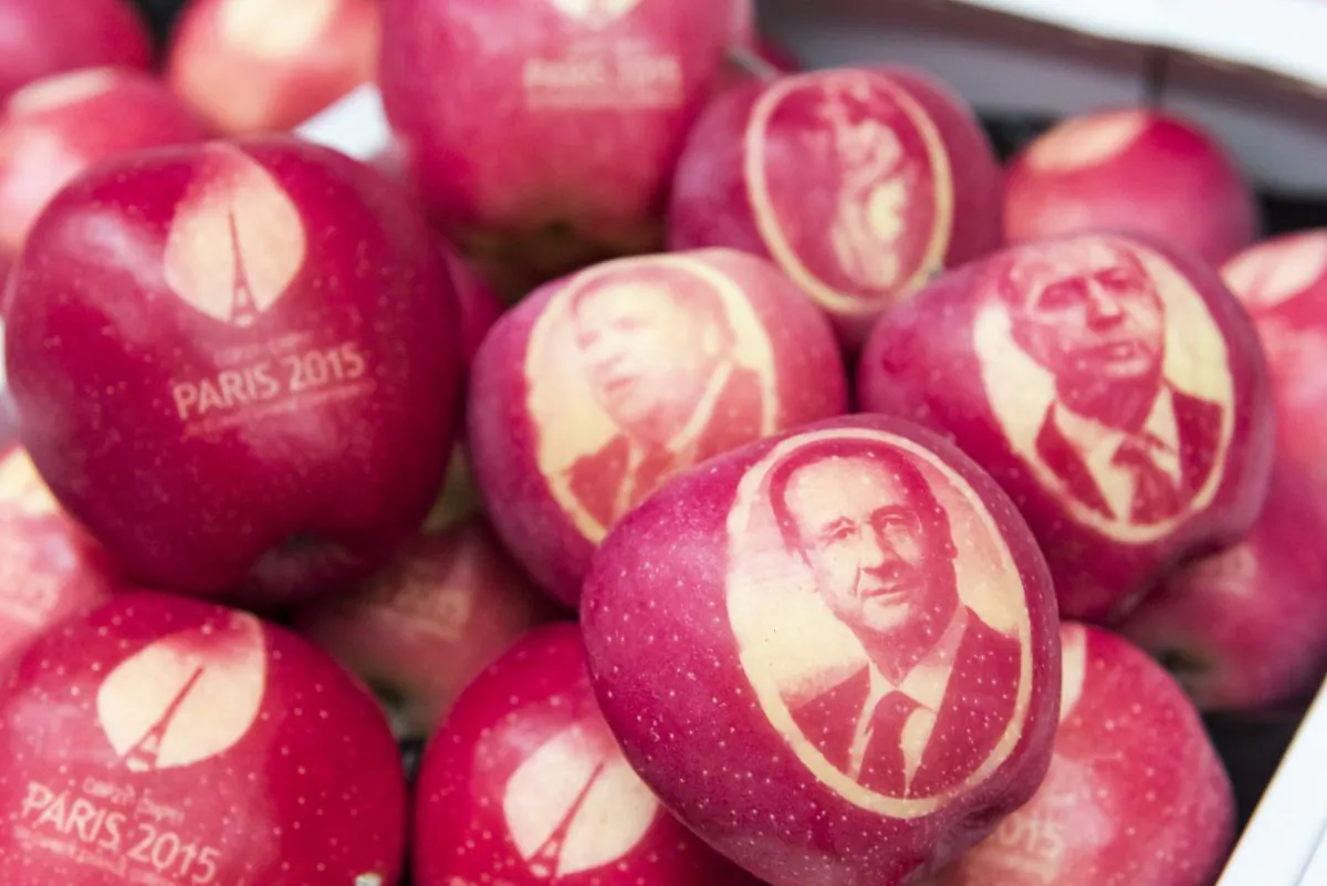 Apples marked with the portraits of French President Francois Hollande (C), French Foreign Minister Laurent Fabius (R), UNFCCC Climate Negotiations Daniel Reifsnyder (top C), and Founder of the Institute for Sustainable Development and International Relations (IDDRI) Laurence Tubiana (top R) and apples marked with the logo of the COP21 climate conference at "Les Jardins Fruitiers de Laquenexy," a site of the "Conseil Departemental de Moselle," in Laquenexy, eastern France, on Nov. 4, 2015. The 200 illustrated apples with the logo of the COP21 are gifts for the state guests who attended the COP21 in Paris in December. A sticker was applied onto the skin of the fruits, the masked area was then protected from the sun while the rest of the apple continued to grow naturally. (Jean-Christophe Verhaegen/AFP/Getty Images)