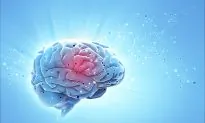 Unstable Blood Vessels Seen in Autistic Brains