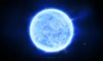 What Is the Biggest Star in the Universe?