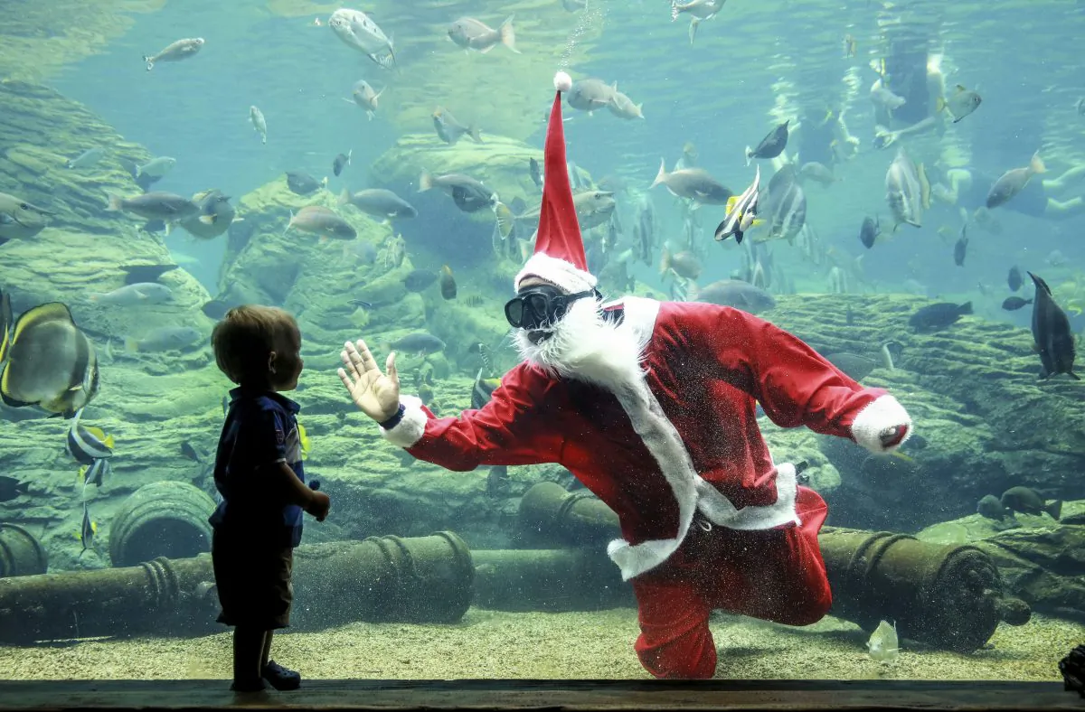 A South African diver dressed as Santa Claus greets a child during a show before Christmas at Africa's largest marine theme park, the South African Marine Biological Research (SAMBR) Sea World based at the uShaka Marine World in Durban on Dec. 22, 2015. (Rajesh Jantilal/AFP/Getty Images)
