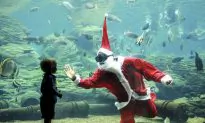 A Professor’s Message for the Holidays: Time to Celebrate!