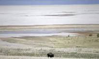 Utah Sues to Challenge Federal Control of Unappropriated Public Lands