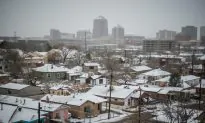 New Mexico Works to Unbury After Record Snow Storm