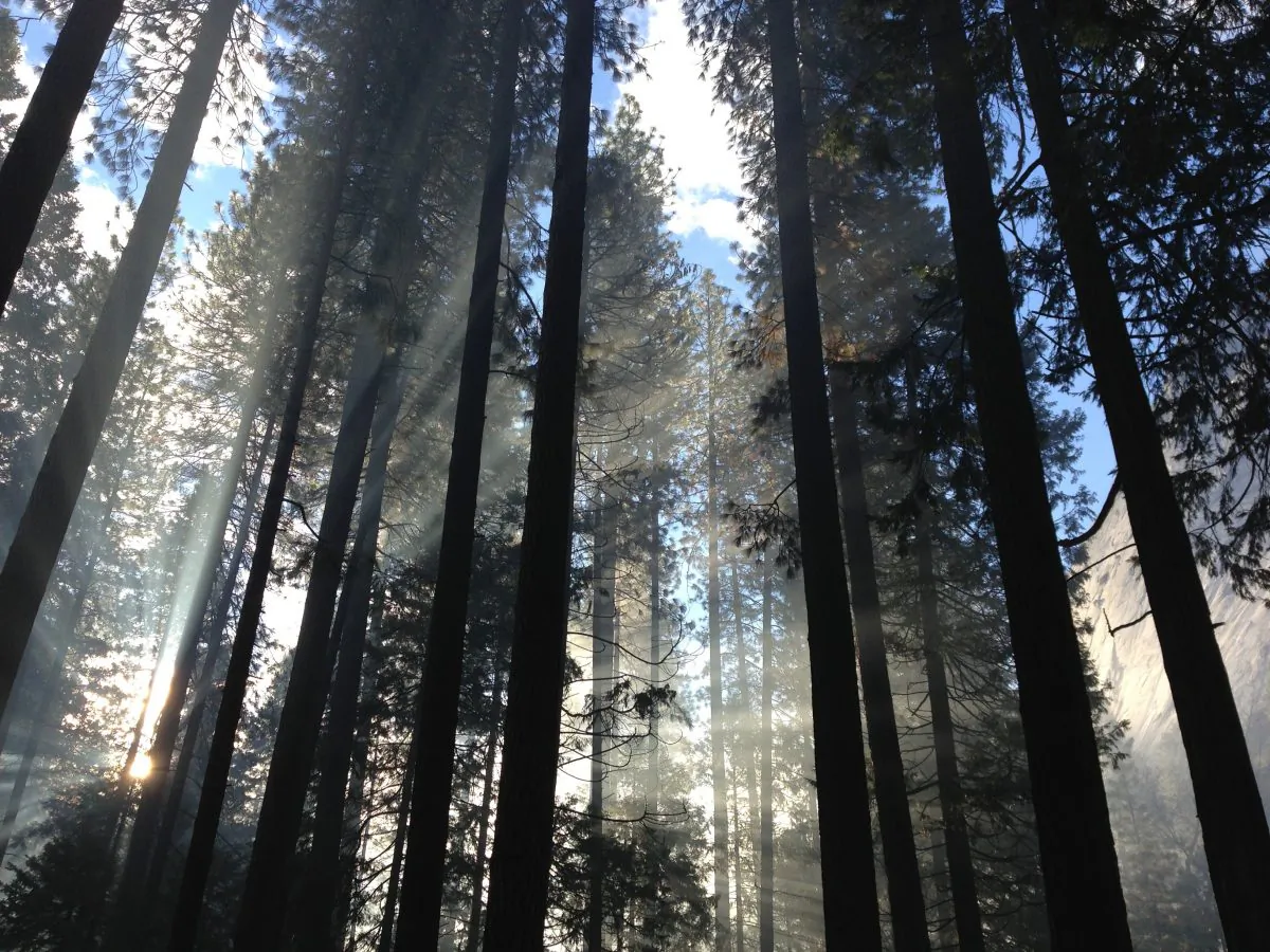 Yosemite Valley, United States (Mike Petrucci/Unsplash.com, Public Domain)