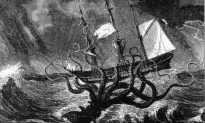 The Real-Life Origins of the Legendary Kraken