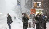 A Look Back at New York in 2015