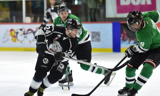 Sharks Lead the Way Into 2016