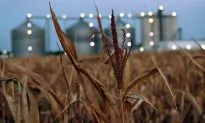 Take the Renewable Fuel Standard Down to Zero