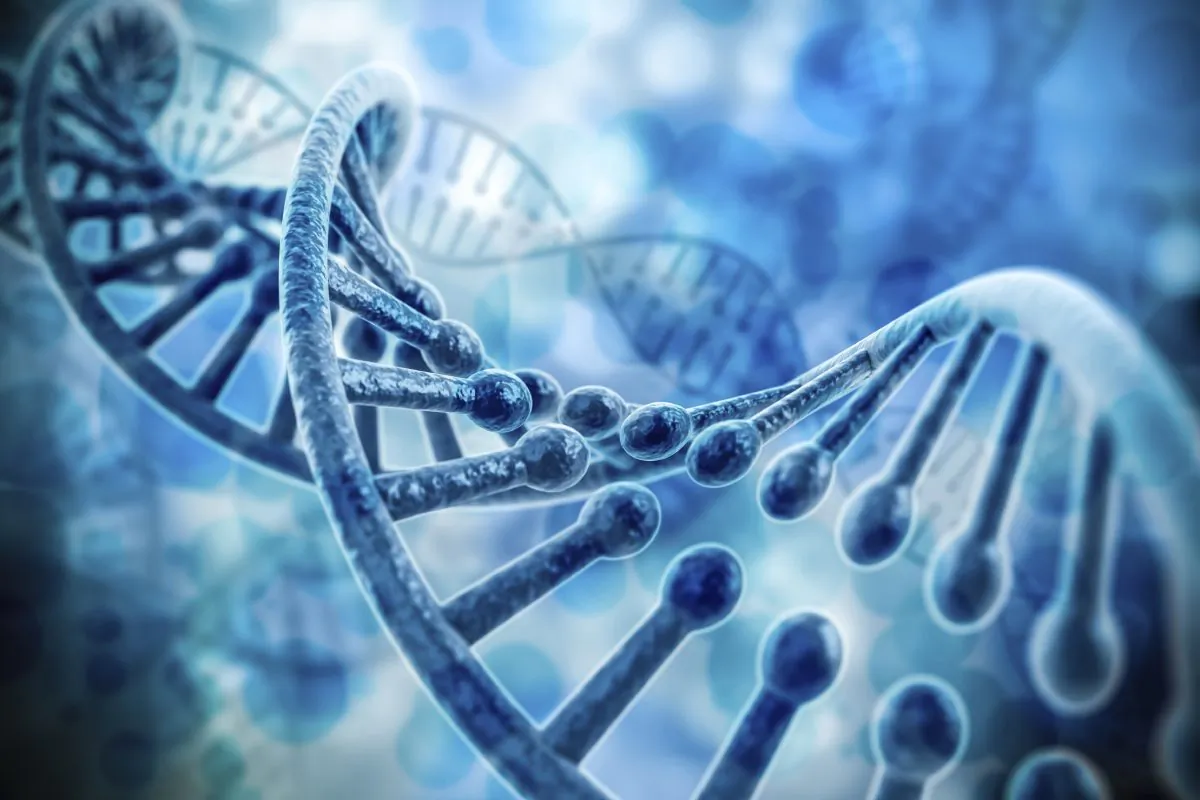 DNA double helix. (Digitalgenetics/istock)