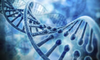 Gene Therapy: Did We Open Pandora’s Box?