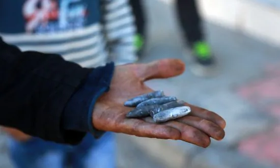 162 Civilians Have Died in Turkey Conflict: Rights Group