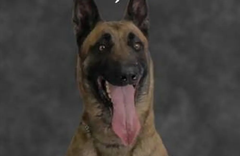 (Norfolk Police Department)