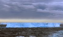 Revealed: How Giant Icebergs Breathe Life Into Remote Oceans