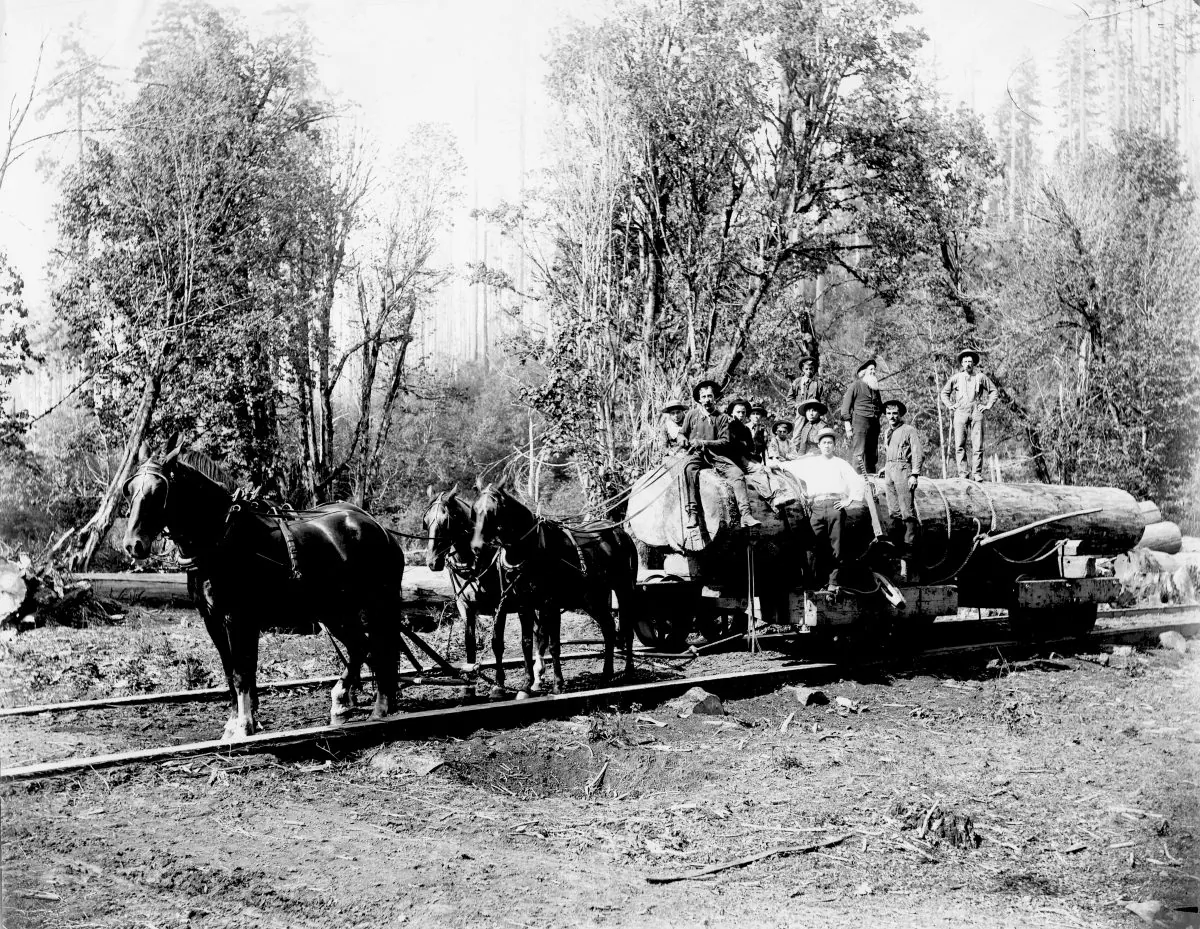 The Bureau of Land Management (BLM) was often referred to as the Bureau of Livestock and Mining in the 19th century. (U.S. BLM, CC BY-SA)