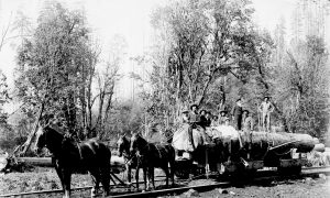 The Twisted Roots of US Land Policy in the West