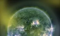 Strong Magnetic Fields Are Hiding Deep Inside Stars