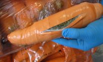 Border Patrol Finds 2,500 Pounds of Marijuana in Fake Carrots
