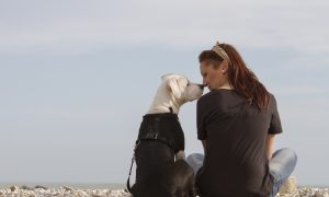 Woof! Dogs Really Can Tell How Their Owners Are Feeling, New Study Shows