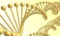 Sticky Strands of DNA Assemble Gold Nanoparticles