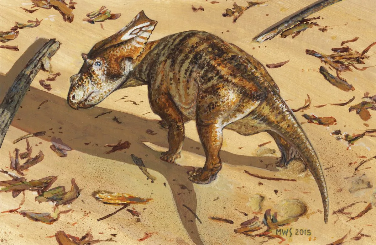 Life reconstruction of the baby chasmosaur (Michael Skrepnick)