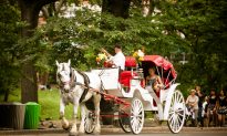 Total Ban on Horse-Drawn Carriages Avoided in NYC