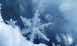 The Power of Small Changes